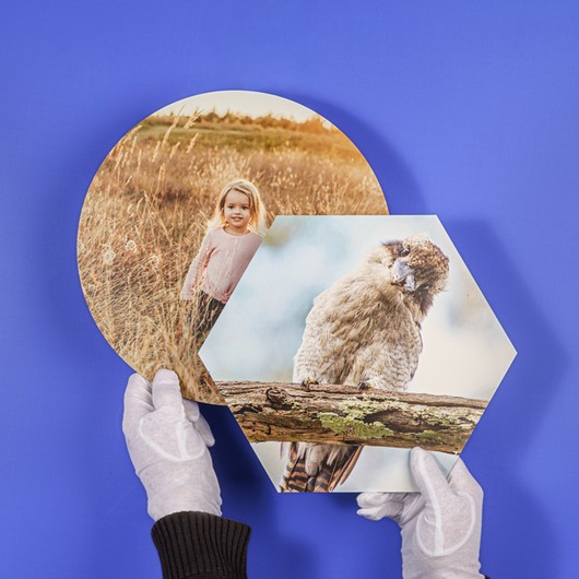 Alu-Dibond Wandbild in Sonderform