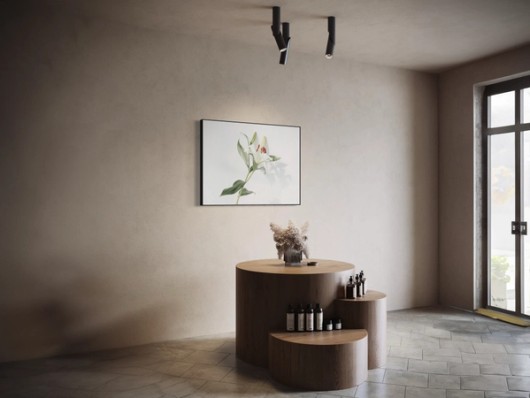 Art mural acoustique dans le salon