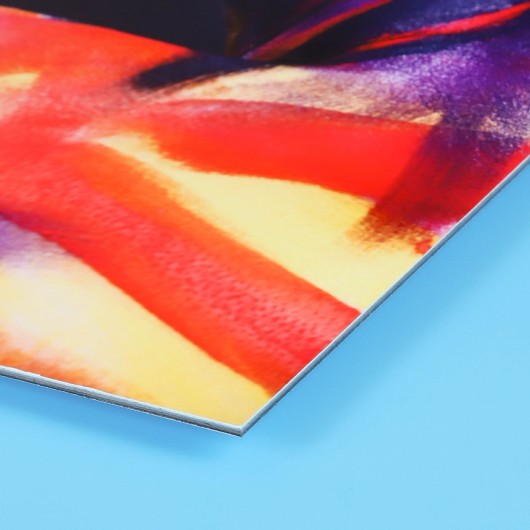 Tirages Fine Art sur alu Dibond