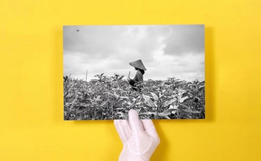 Tirages photo noir et blanc