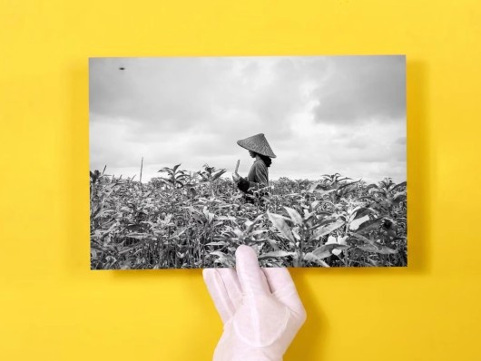 Tirages photo noir et blanc
