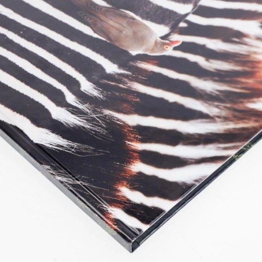 15x15 Premium Pocket Photo Book with photo cover