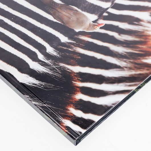 15x15 Premium Pocket Photo Book with photo cover