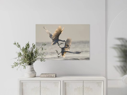 Foto op dibond afdrukken