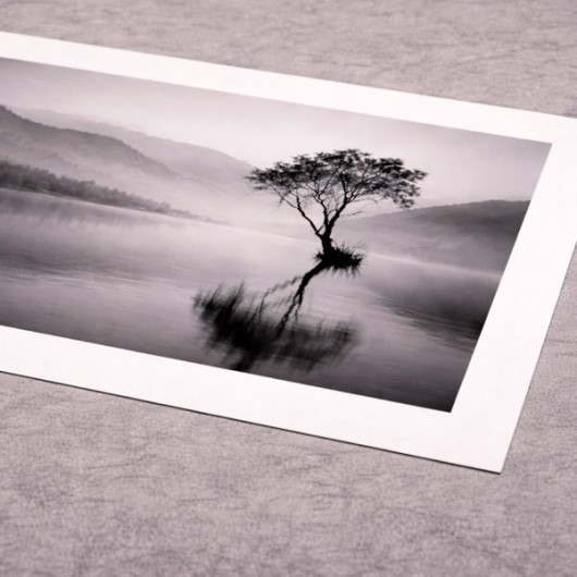 Photo Ilford avec bordure blanche