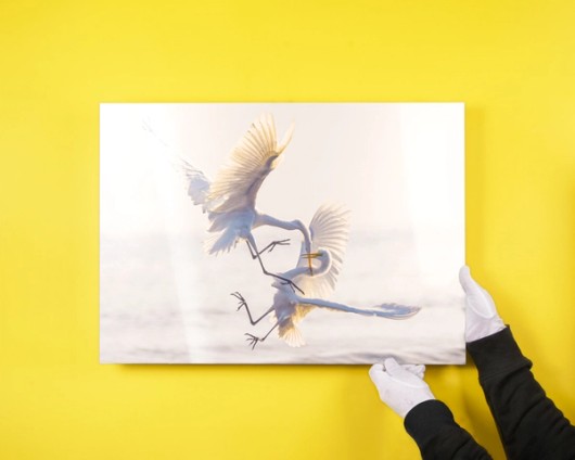 Voorbeeld foto op aluminium dibond