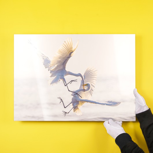 Beispielbild auf Alu-Dibond