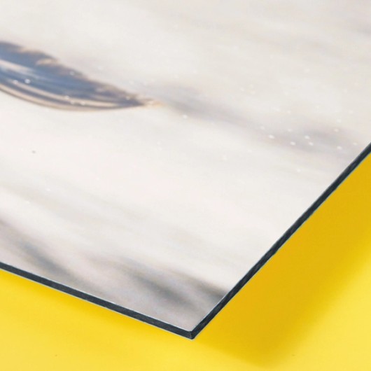 Fine Art op aluminium dibond detail shot