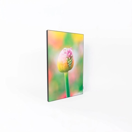 acoustic wall art met bloem