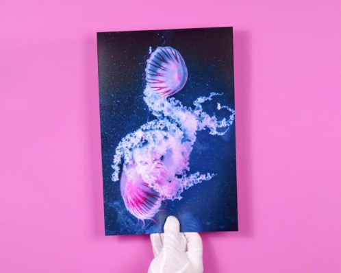 fotoafdruk op posterformaat op een roze ondergrond