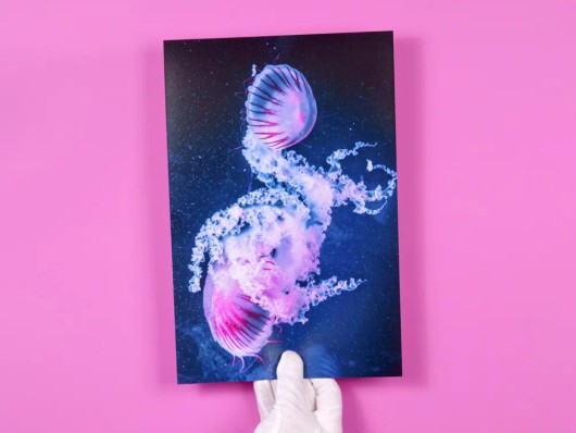 fotoafdruk op posterformaat op een roze ondergrond