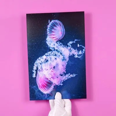 Fotoabzug auf rosa Untergrund