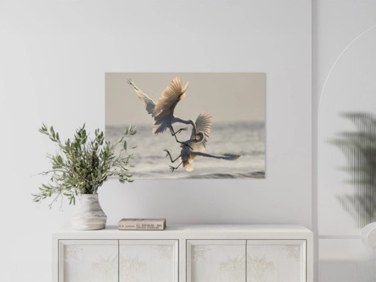 Photo sur Alu Dibond au mur