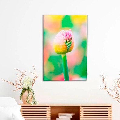 Wanddecoratie Profotonet
