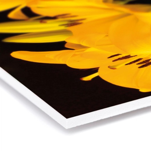 Photo sur Forex vue en angle