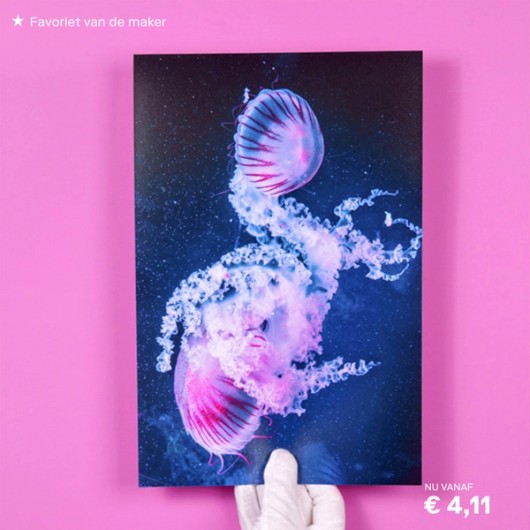 Poster favoriet