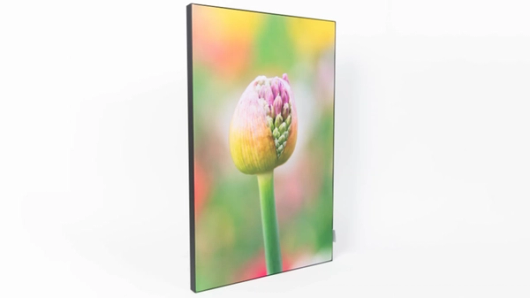 acoustic wall art met bloem