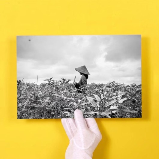 Schwarzweiß-Fotoabzug mit Handschuh