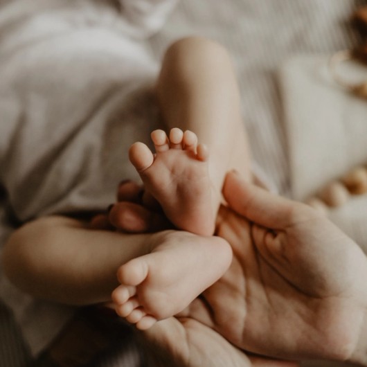 Petits moments capturés en grand