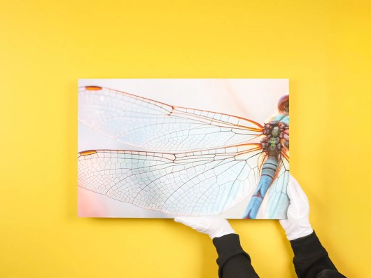 Italiaanse scooter in een straatje als Fine Art print op polystyreen aan de muur
