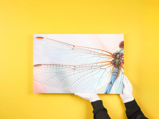 Italiaanse scooter in een straatje als Fine Art print op polystyreen aan de muur