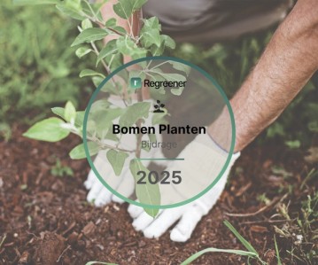 Planten van bomen