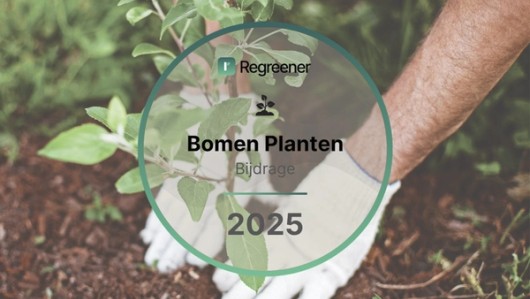 Planten van bomen