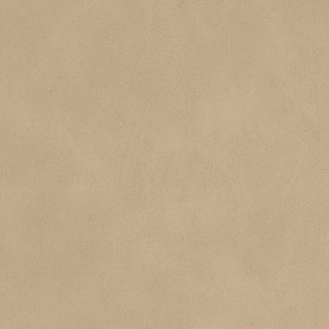 Lawn Beige