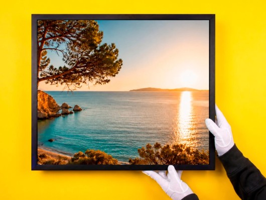 Profotonet Print in frame on a yellow wall